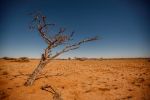 Desert Ultra Namibia 2013_MP_046.jpg
