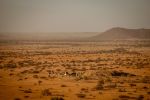 Desert Ultra Namibia 2013_MP_109.jpg