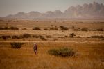 Desert Ultra Namibia 2013_MP_150.jpg