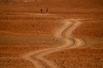 Desert Ultra Namibia 2013_MP_386.jpg