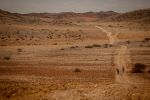 Desert Ultra Namibia 2013_MP_473.jpg