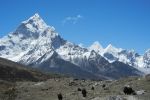 EverestMarathon_klein_1011.jpg