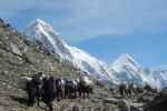EverestMarathon_klein_1086.jpg