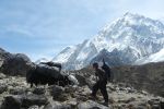 EverestMarathon_klein_1120.jpg