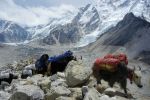 EverestMarathon_klein_1163.jpg