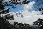 EverestMarathon_klein_502.jpg