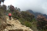 EverestMarathon_klein_650.jpg