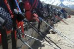 EverestMarathon_klein_990.jpg