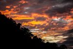 Jungle Ultra, Peru_126.jpg
