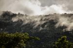 Jungle Ultra, Peru_193.jpg