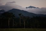 Jungle Ultra, Peru_43.jpg