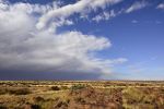MicheleUfer_Kalahari_043.JPG