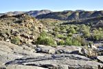 MicheleUfer_Kalahari_107.JPG