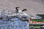 The High 2012_098.jpg